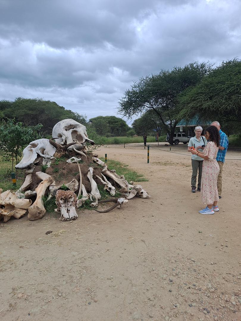 2 Jours 1 Nuit — Tarangire & Ngorongoro 3